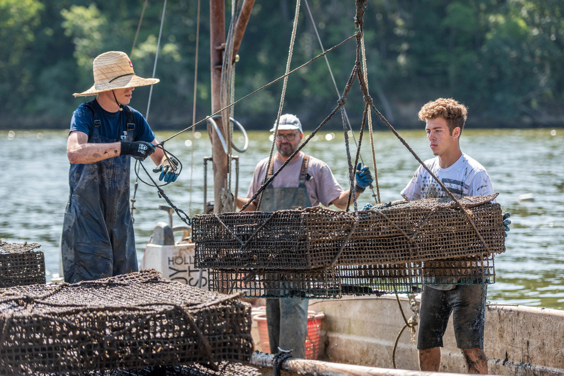 Maryland Oyster Aquaculture On The Rise Southern Maryland Oyster Guide