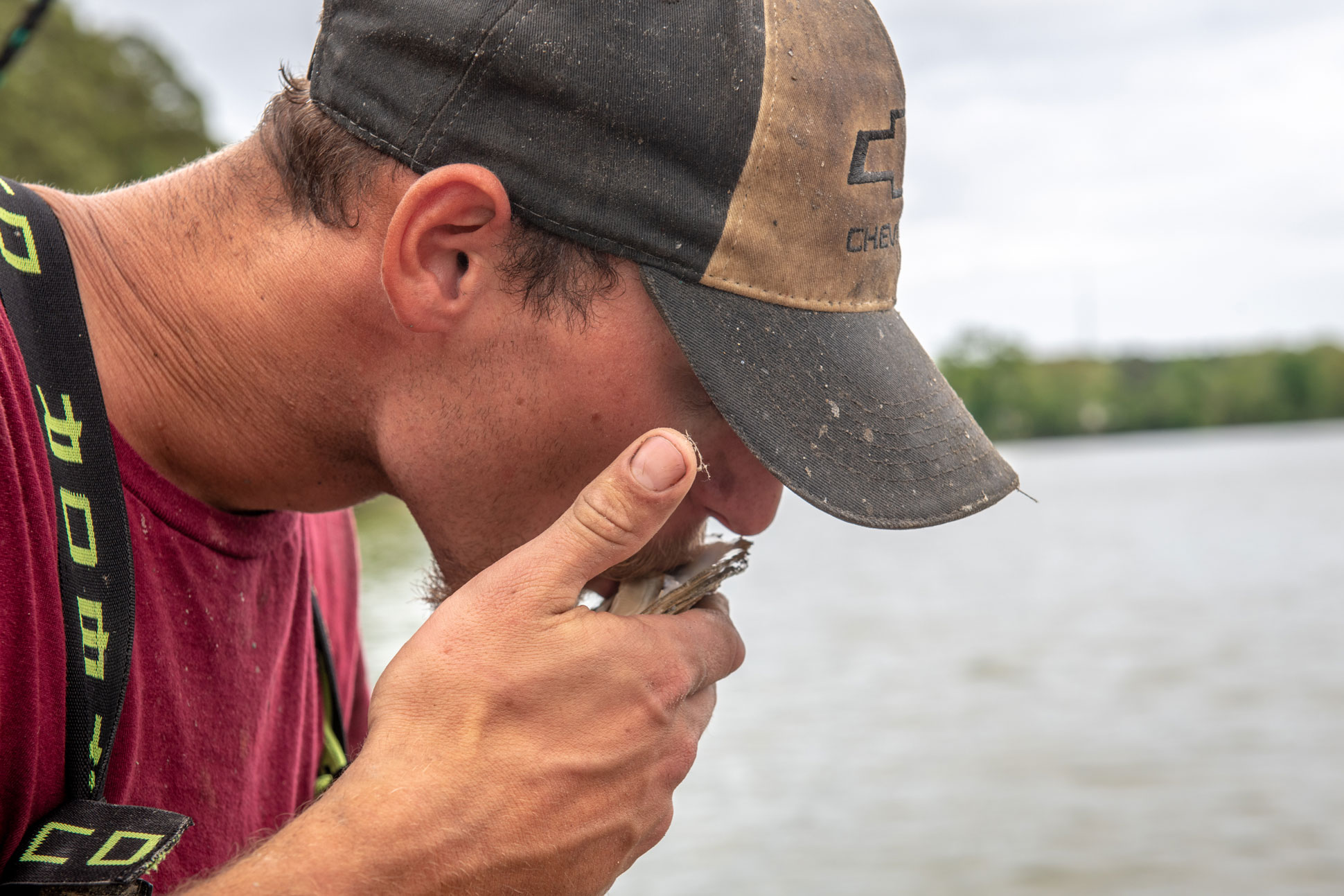 Eating Oysters Southern Maryland Oyster Guide