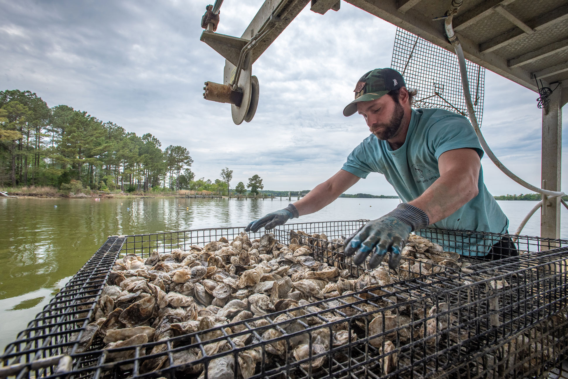 Contact Us Southern Maryland Oyster Guide